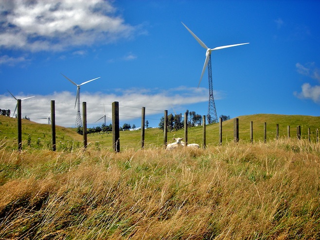 NZ Wind Farm1